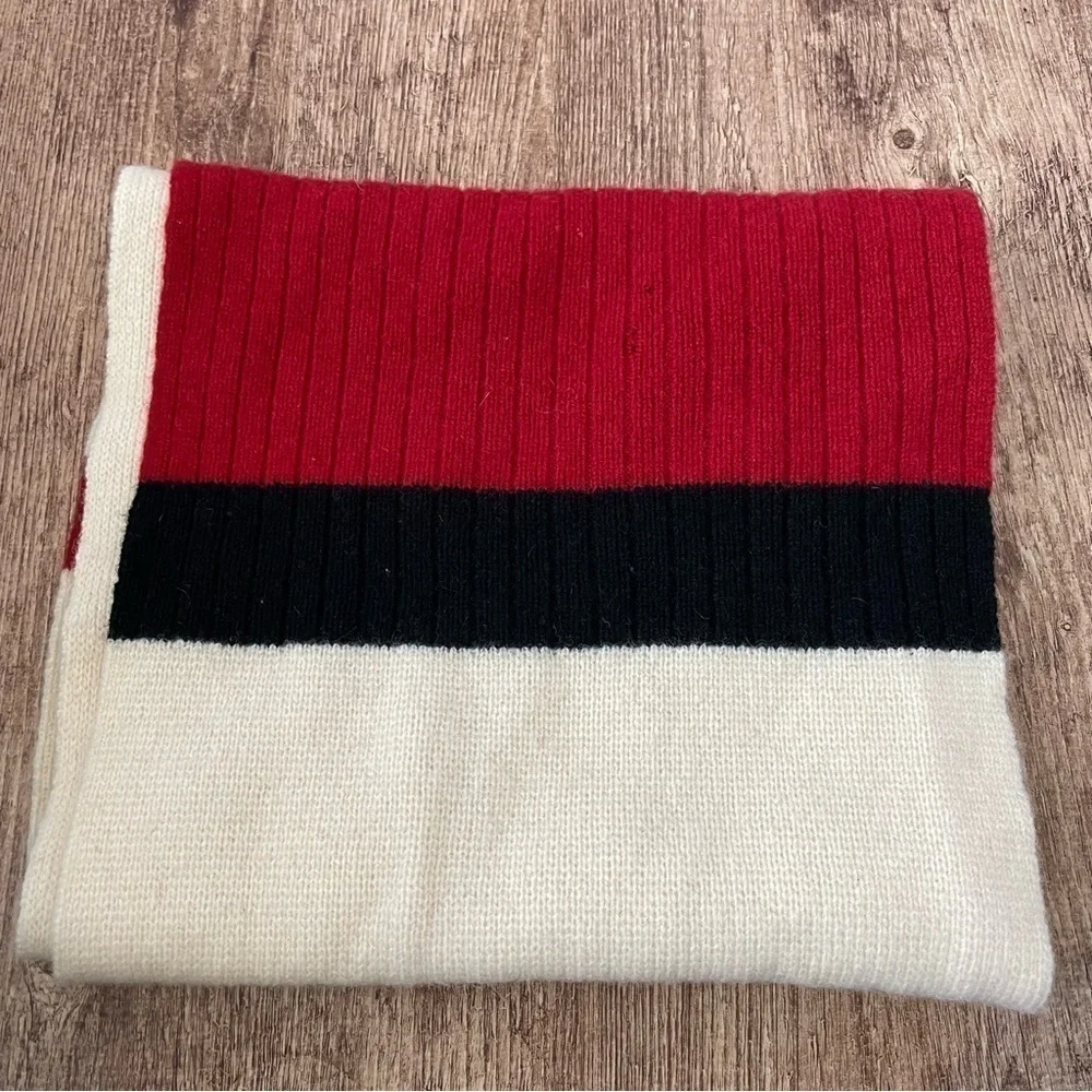 Gap Color Block Lambs Wool Scarf